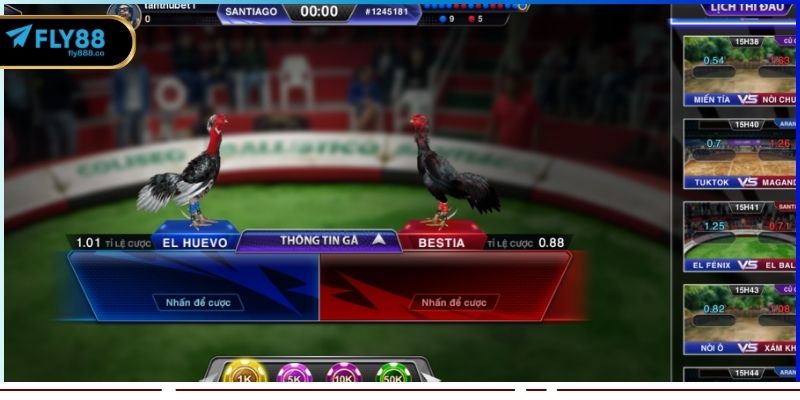 Các loại hình đá gà FLY88 phổ biến trên thị trường