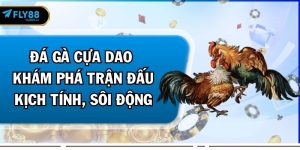 đá gà cựa dao