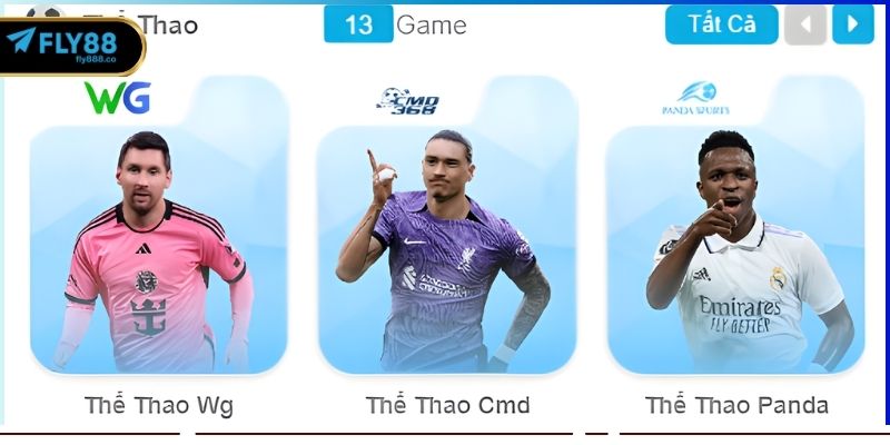 Khái quát chung về thể thao FLY88