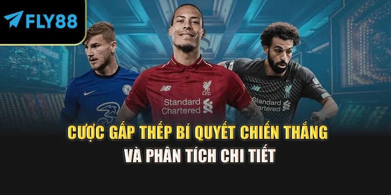 Cược Gấp Thếp – Bí Quyết Chiến Thắng Và Phân Tích Chi Tiết